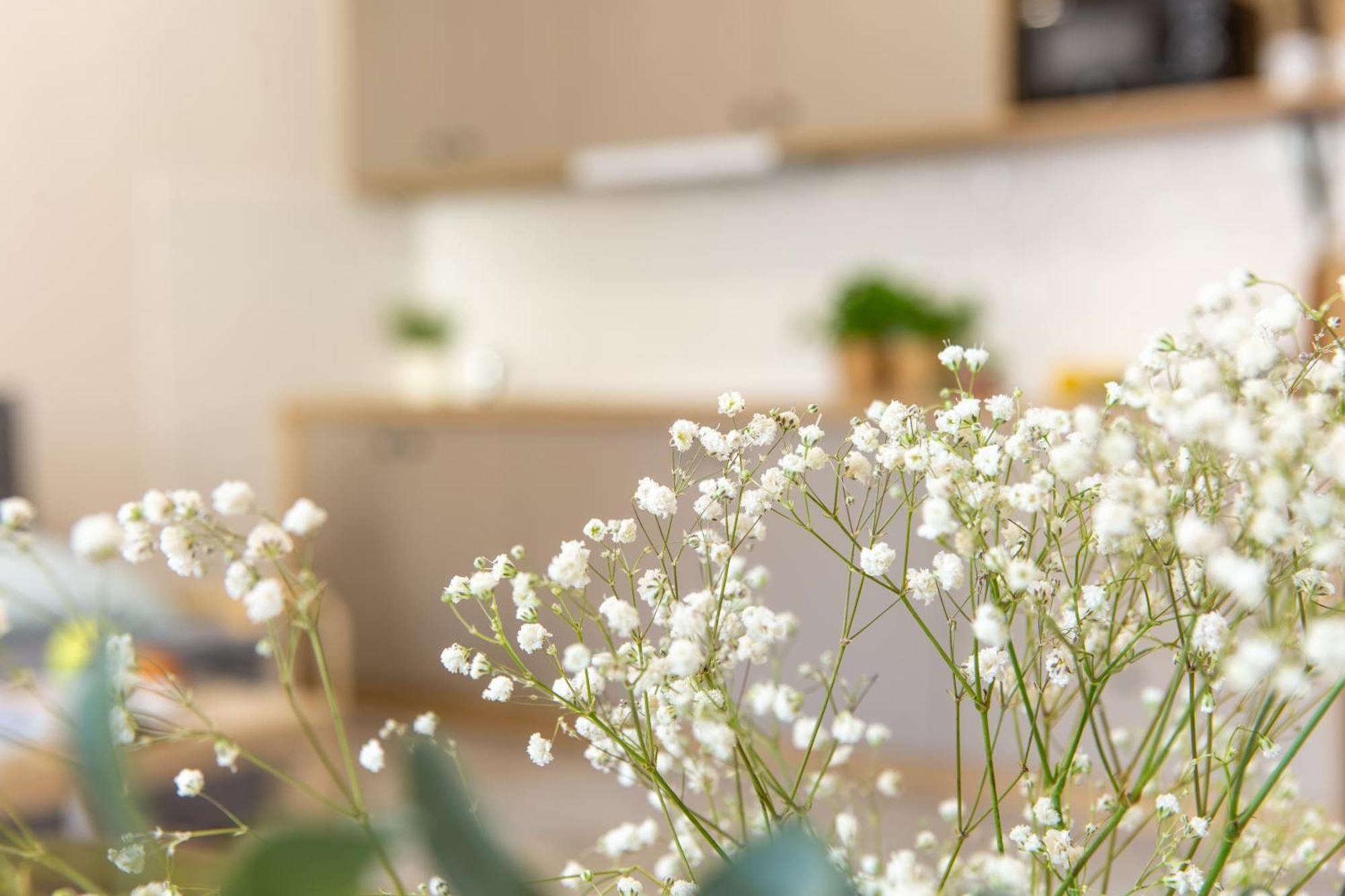 Apartamenty Kdn Na Rysiej Katowice Esterno foto
